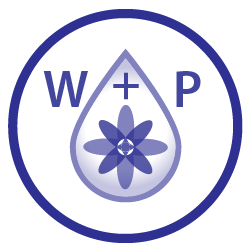 - Essenze W+P